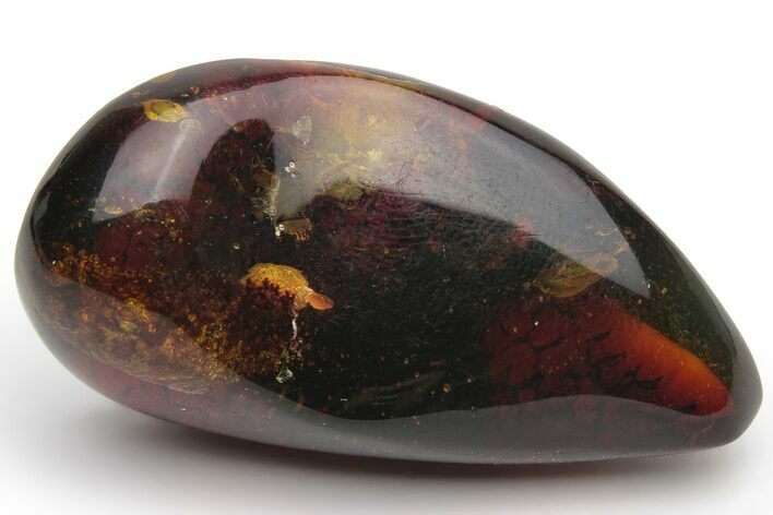 Polished Chiapas Amber ( g) - Mexico #237416